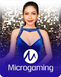 AP33 Casino Game: Microgaming