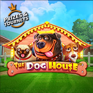AP33 Slot Game: The Dog House